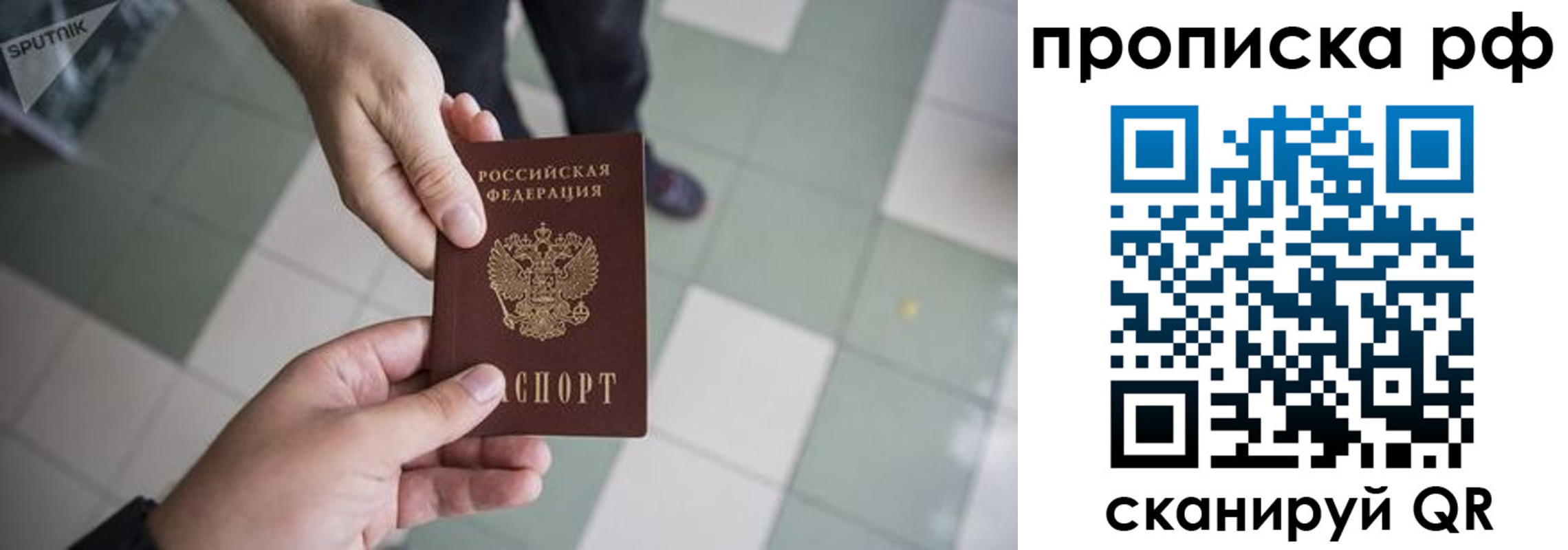 прописка гарантия в Протвино